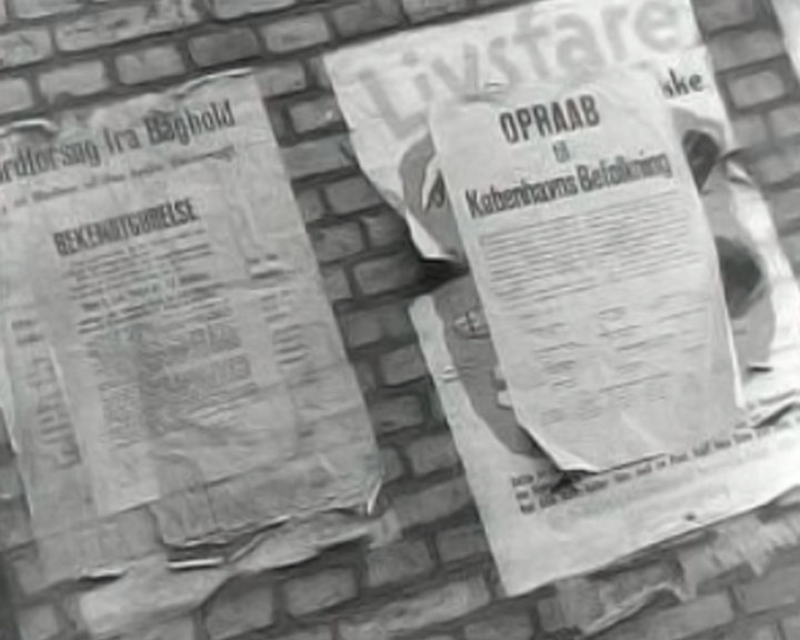 Kjersgaards Danmarkshistorie dr.dk/Bonanza