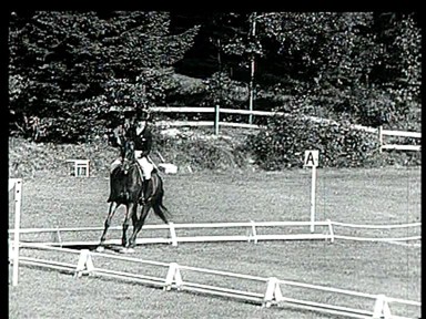 Lis Hartel, OL 1952 Dansk Kulturarv